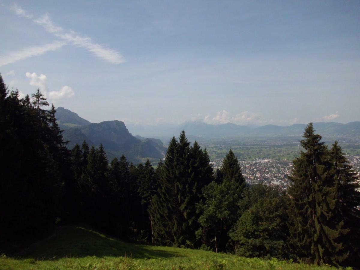 Ferienwohnung Annele Hittisau Exterior foto